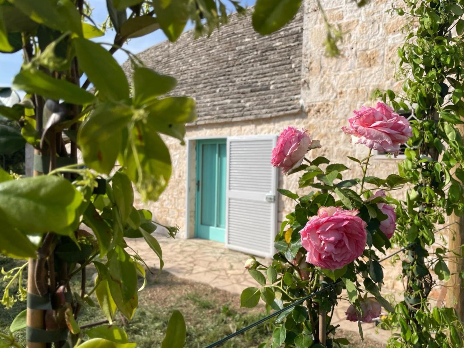 Giardino Dei Trulli Cummerse Faccia di Trippa di Monte Dış mekan fotoğraf